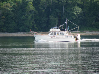 M/V Chardonnay