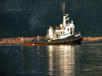 Tug in Forward Harbor